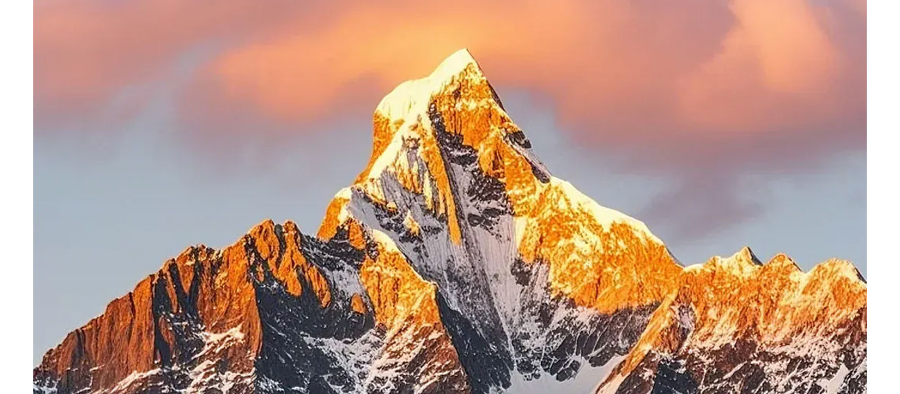 青島富強(qiáng)電子有限公司官方網(wǎng)站